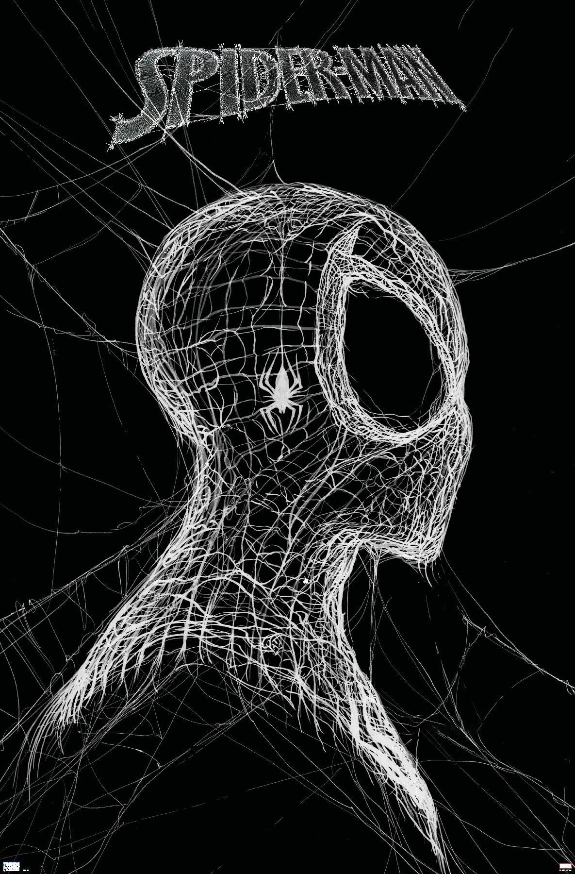 Spidey Goes Minimalist: World Of Webs Poster Review