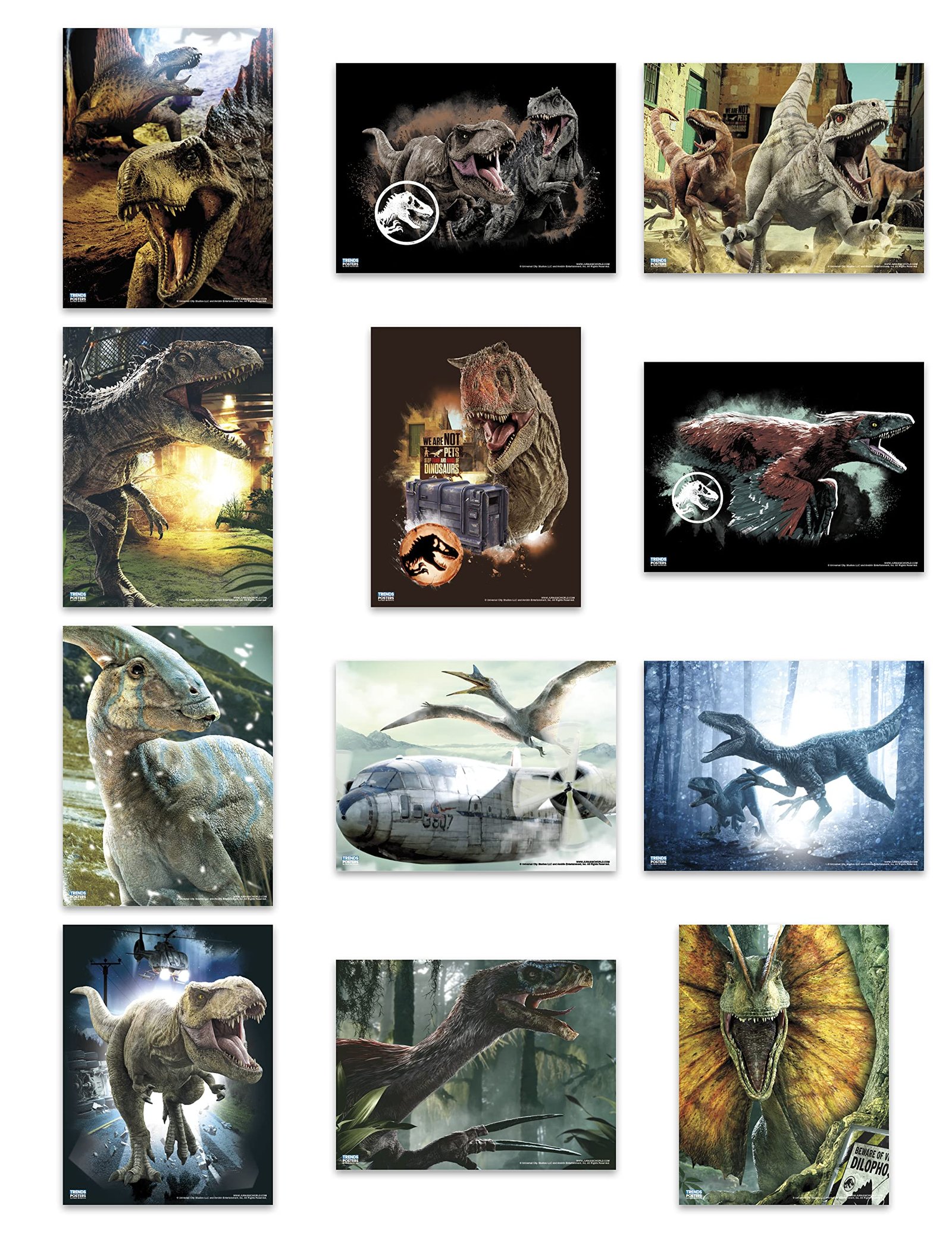 Roar into Style: Jurassic World Dominion Poster Book Review