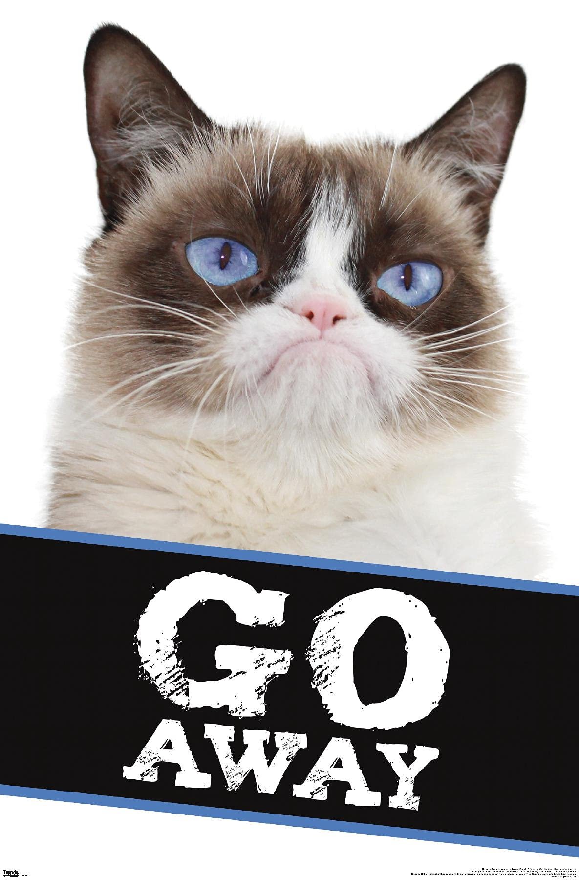 Grumpy Cat 'Go Away' Poster Review | Iconic Wall Art Decor