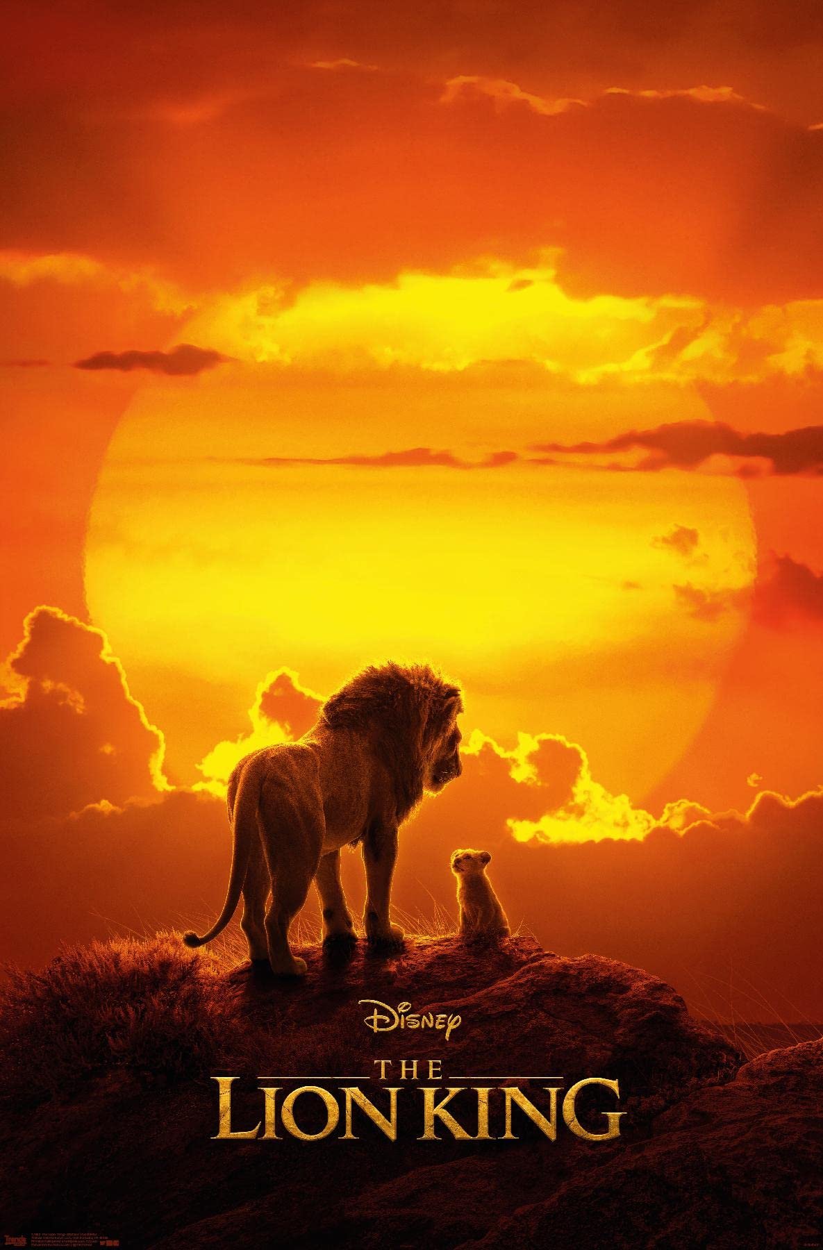 Disney Mufasa and Simba Wall Poster Review