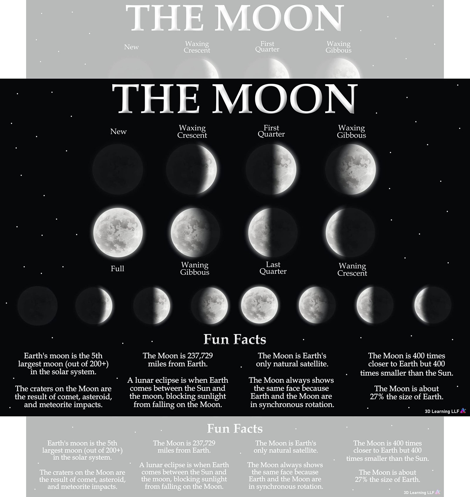 Elevate Your Space with the Laminated Moon Phases Chart