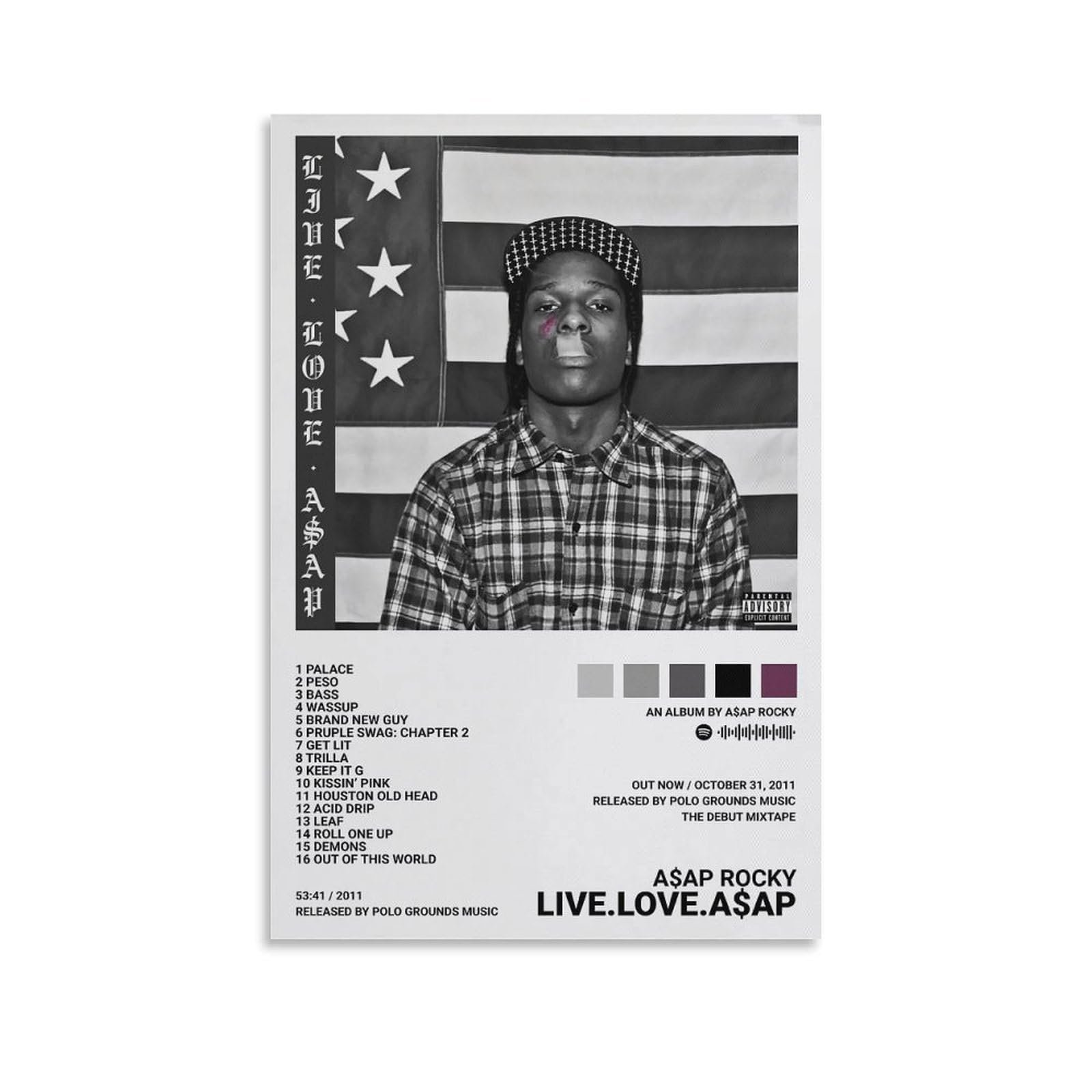 ASAP Rocky Live Love ASAP Canvas Poster Review