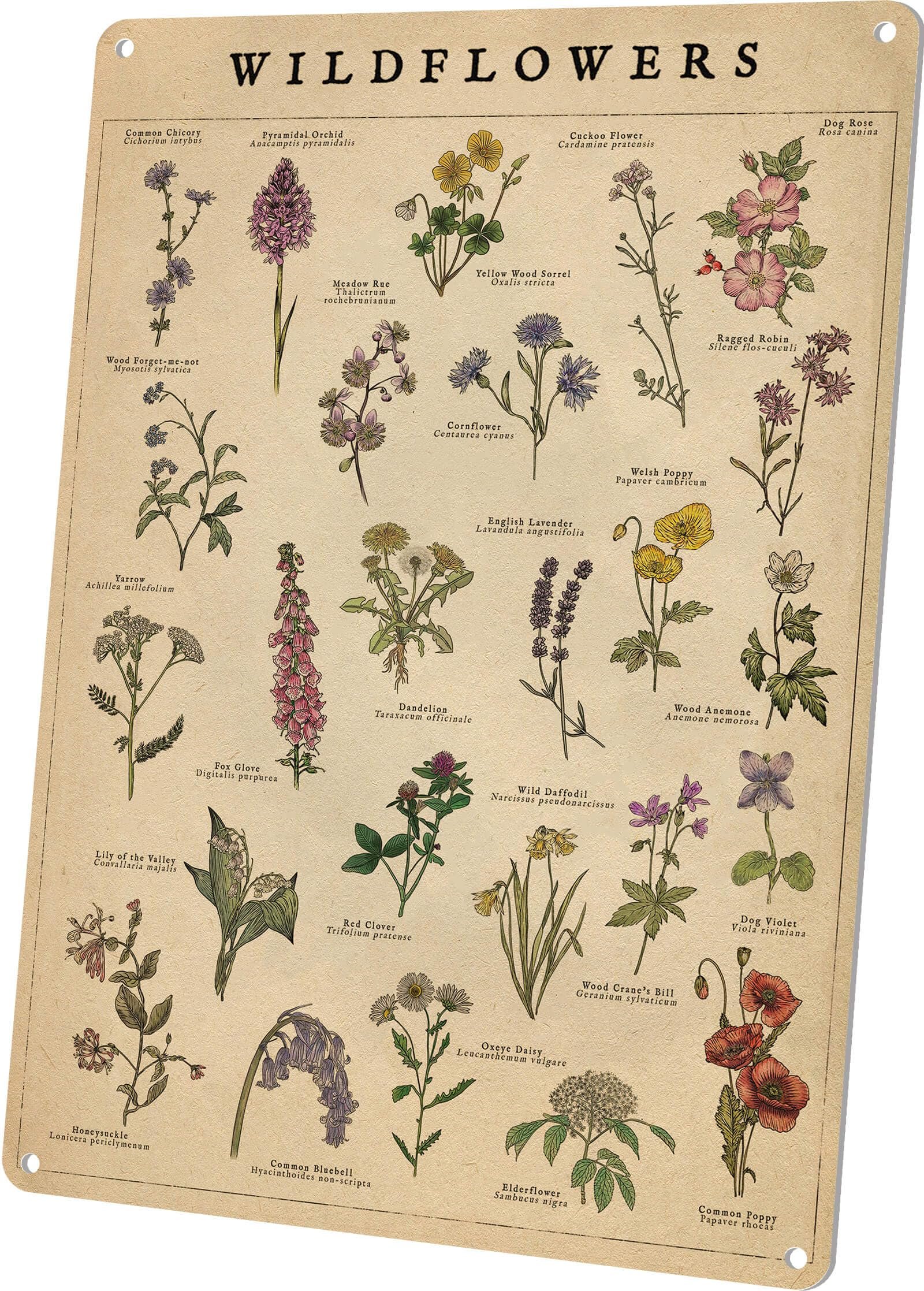 Vintage Wildflower Poster Review: Cottagecore Garden Decor
