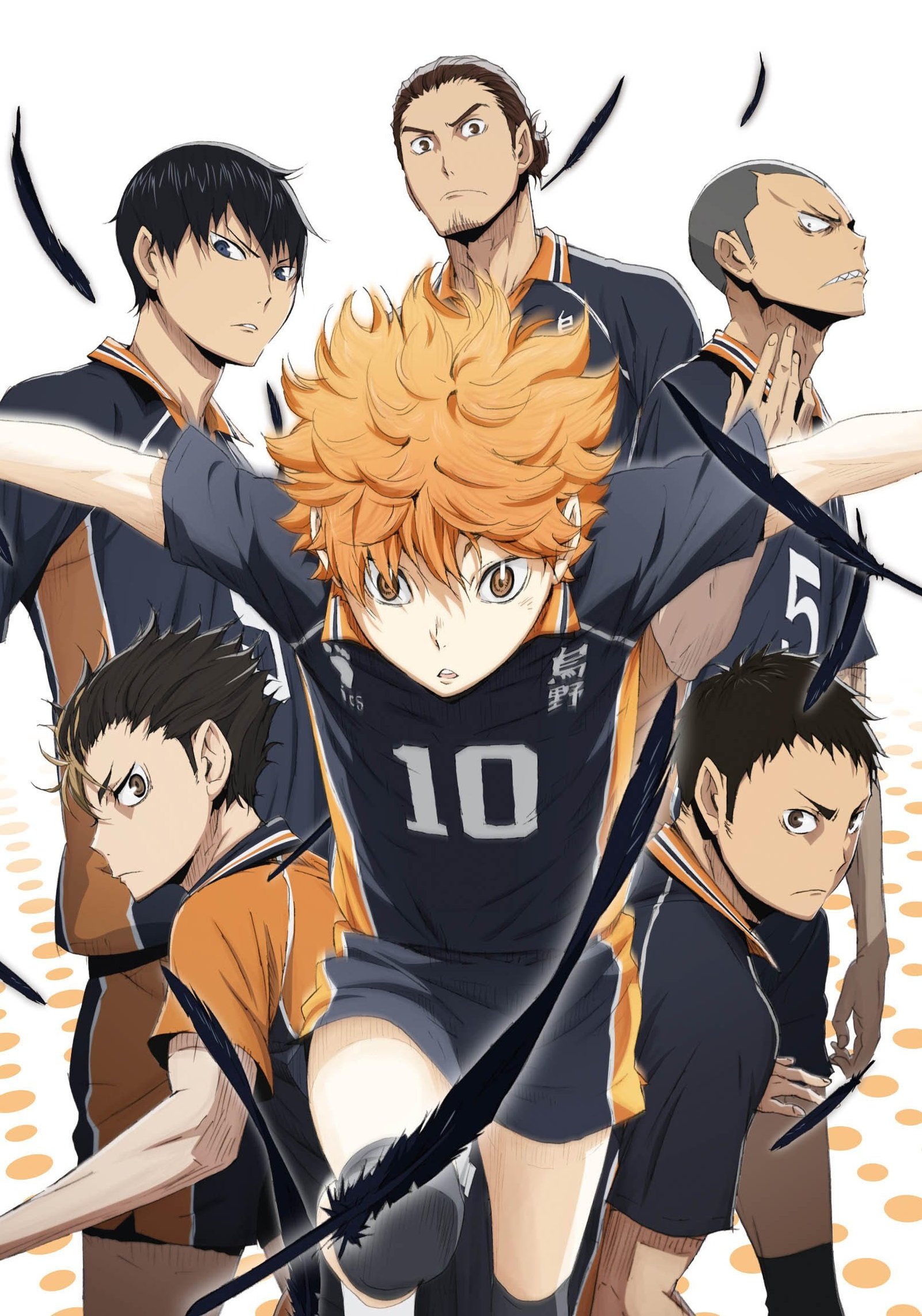Hinata Shouyou Karasuno Poster Review: Elevate Your Decor