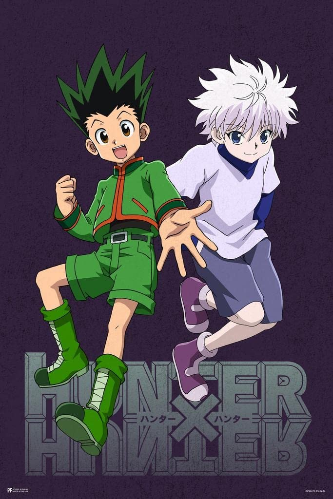 Hunter x Hunter Wall Art Review: Gon and Killua Poster