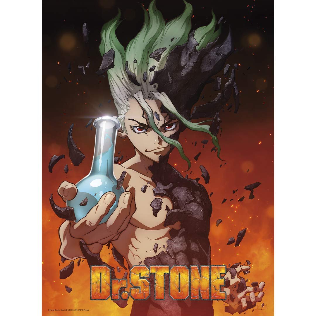 Dr. Stone Senku Wall Art Review: Aesthetic Anime Decor