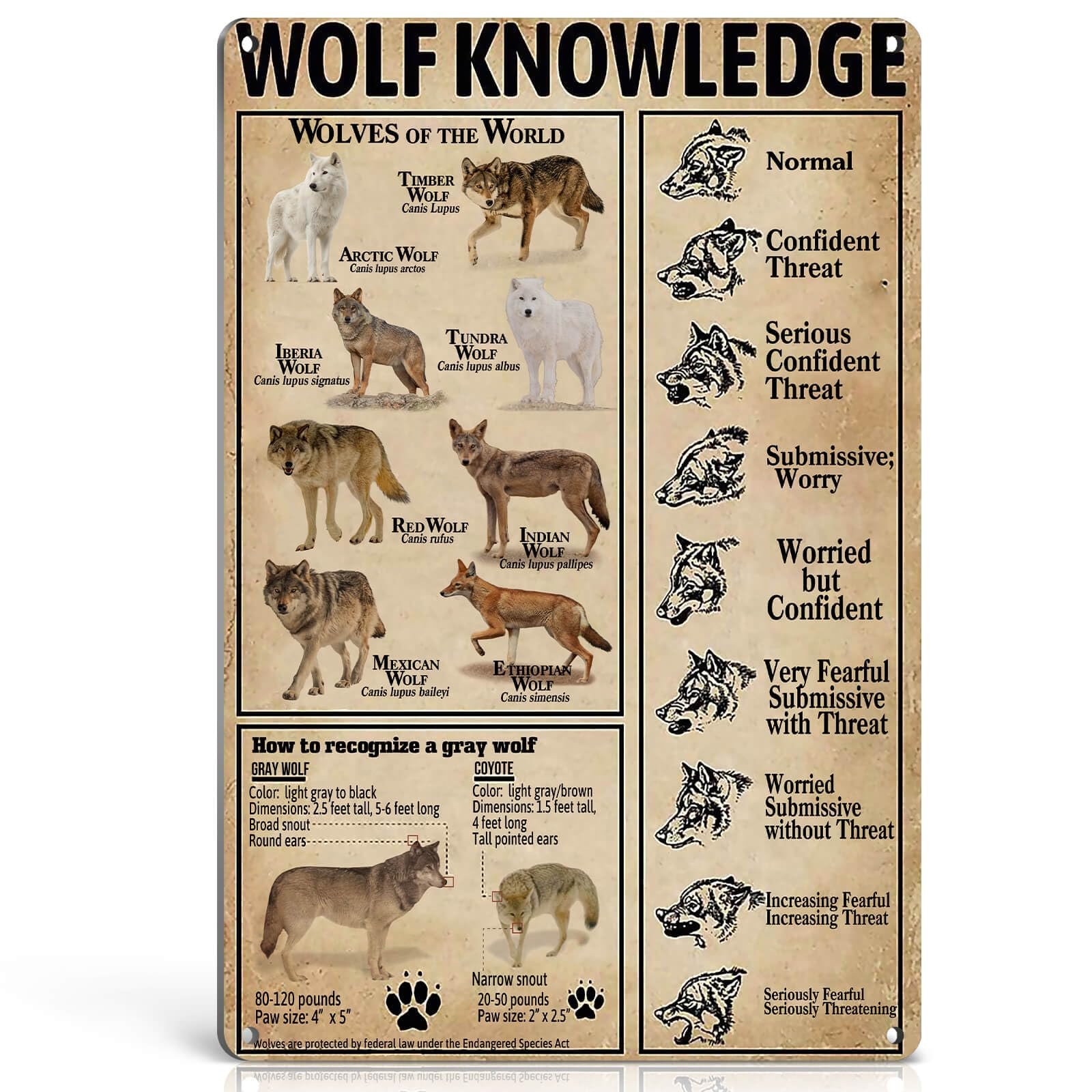 Vintage Wolf Knowledge Tin Sign: Aesthetic Decor Guide