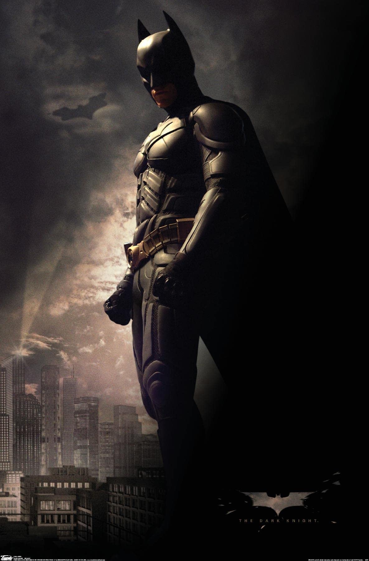 The Dark Knight Batman in the Shadows Poster Review
