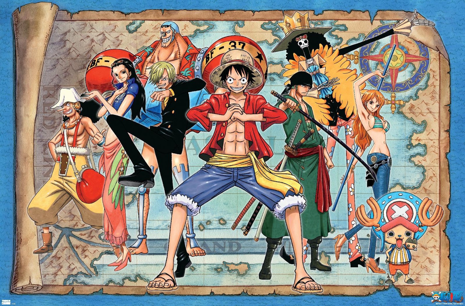 One Piece Group Map Poster Review: Elite Anime Decor
