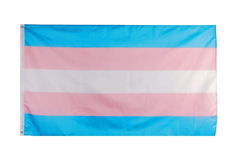 Flaglink Transgender Pride Flag Review: Bold Interior Decor