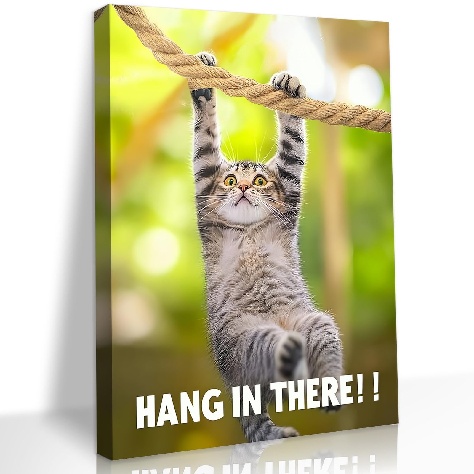 Funny Hang in There Cat Poster: A Design Review