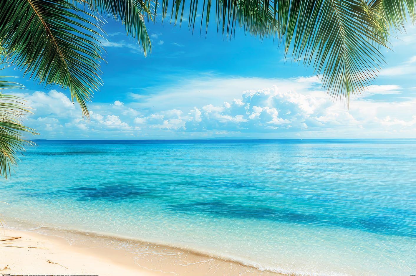 Azure Ocean View Poster Review: Coastal Decor Guide