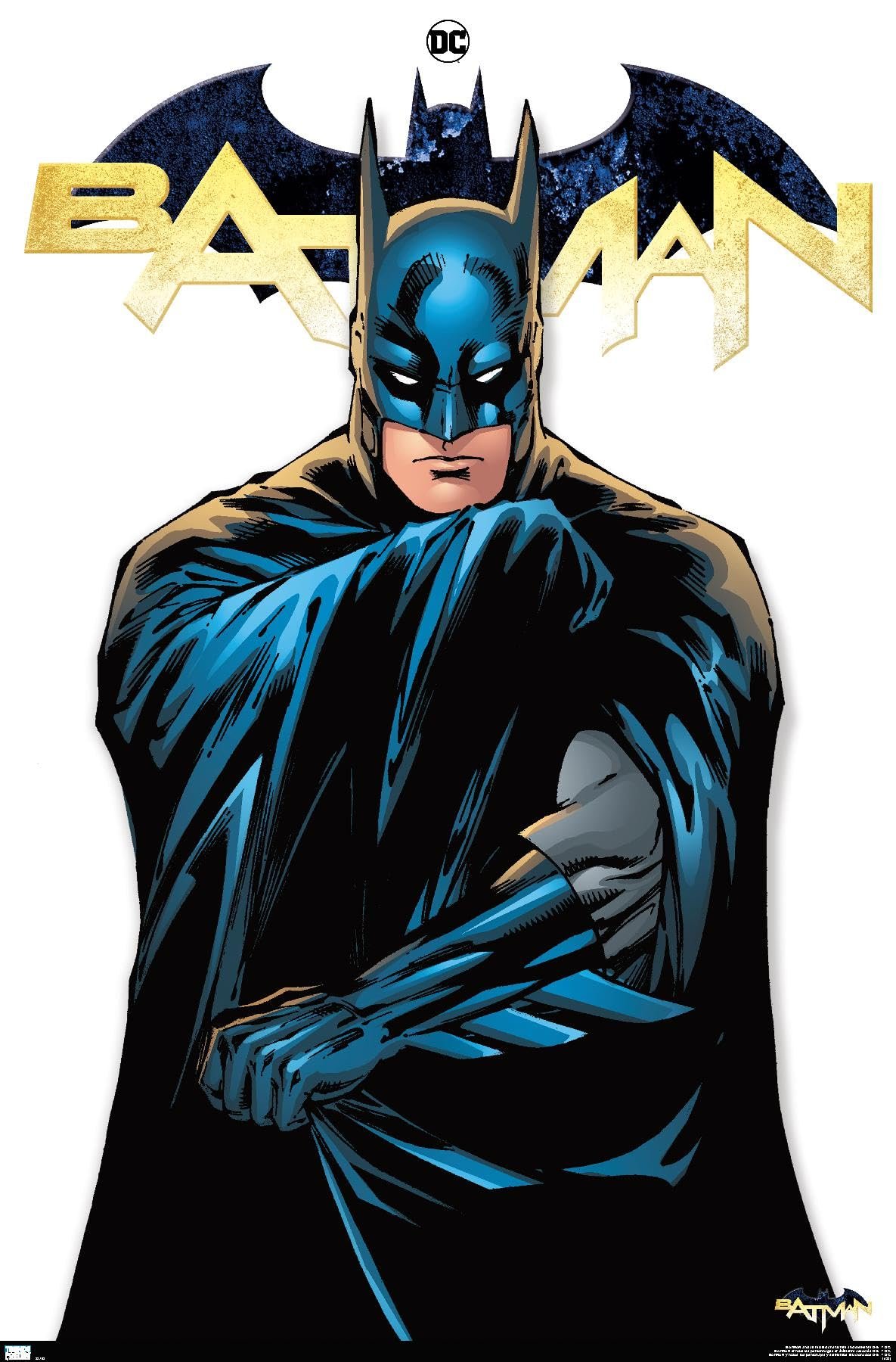 Batman Feature Series Poster Review: Dark Knight Decor