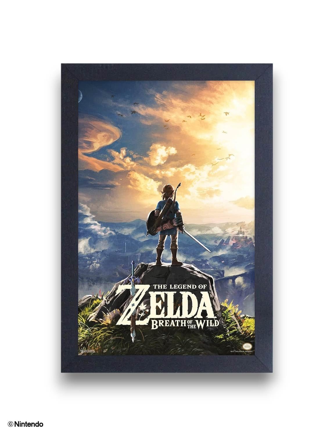 Zelda Breath of the Wild Wall Art Review: Hyrule Chic