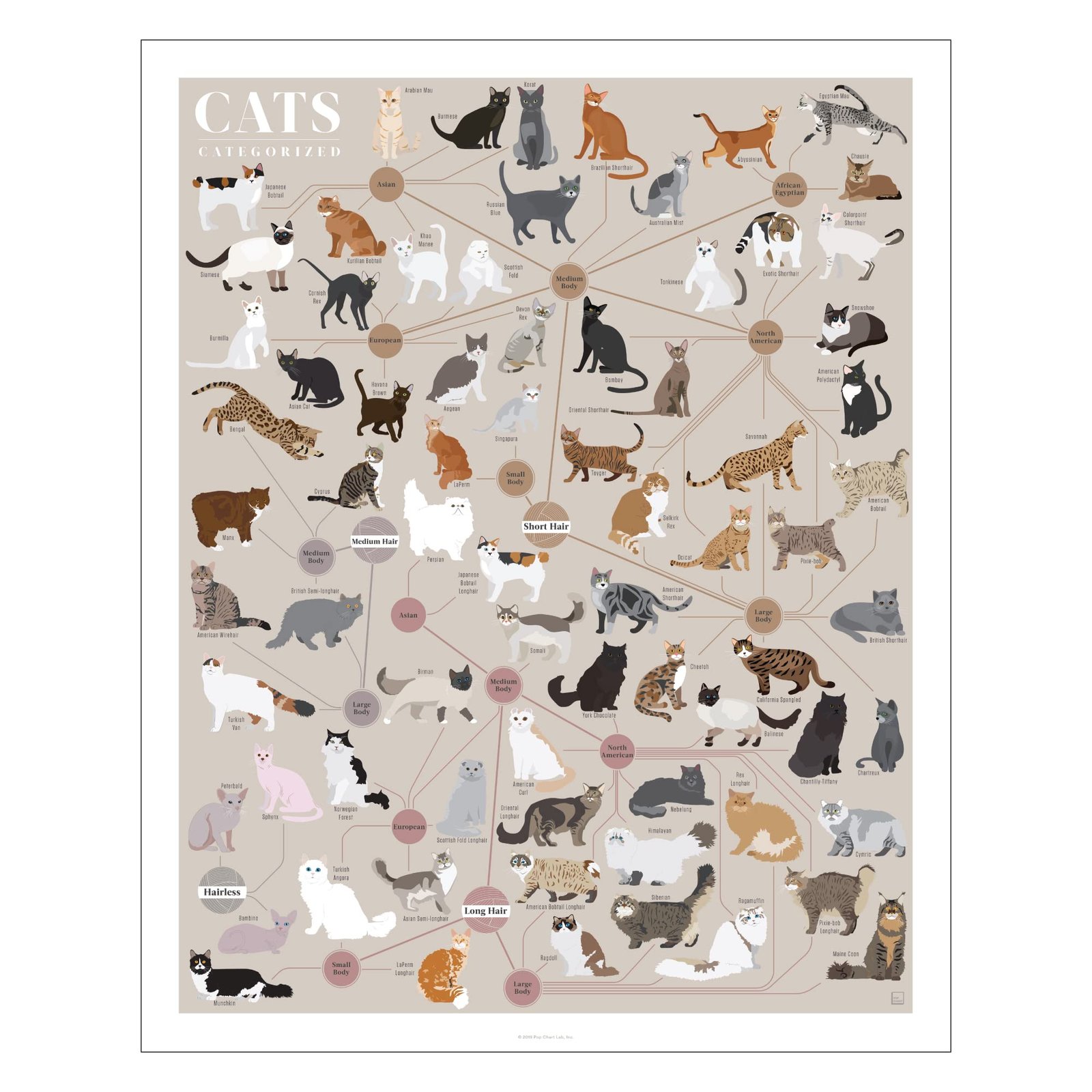 Cats Categorized: The Ultimate Pop Chart Art Poster Review