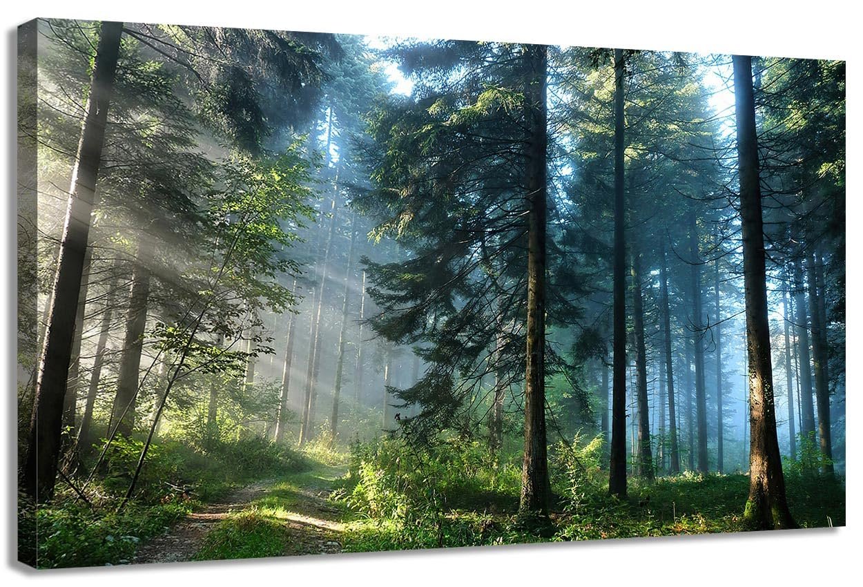 AFLE Nature Tree Canvas Review: Forest Aesthetic Guide